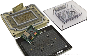 VALUE Engrafting fct image